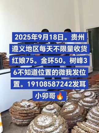 贵州遵义地区不限量收货。每天收。#小卯哥 @抖音小助手