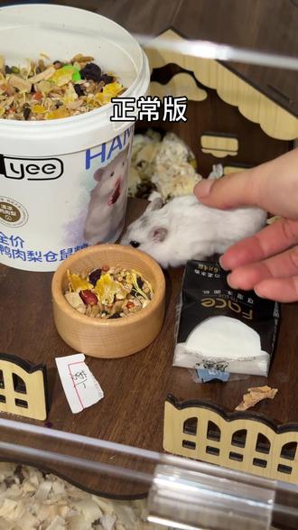 萝卜还是纸巾?(双鼠版)
小火龙他竟然不吃蒸蚌!!!!
#萝卜纸巾 #仓鼠日常 #萌宠 #vlog日常 #萌宠出道计划