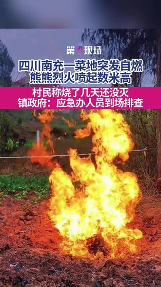 12月30日,四川南充,多名网友发布视频表示:蓬安县徐家镇一块菜地突发自燃,熊熊烈火喷起数米高。当地村民称火好大,已经燃烧了几天还没灭,好多人来围观。徐家镇政府工作人员称,事发后已拉起警戒线,应急办人员到场排查并告知周边村民注意安全。#四川南充 #自燃 #天然气 #徐家镇