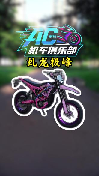 特别好玩的大玩具#虬龙极蜂