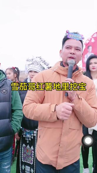 雪茄哥红薯地里寻宝活动开始啦#雪茄哥