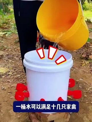 养殖家禽喂水器,家禽喂水就是这么简单#三农养殖