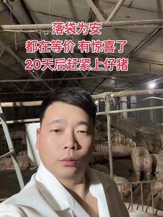 看好行情。抓紧机遇。#养猪人 #自繁自养 #养猪人加油干 #养猪人不容易 #液态发酵