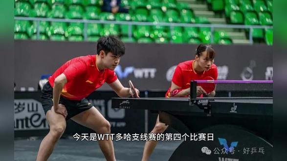 WTT支线赛30日赛程:国乒5人出局,面临12场外战 #国乒#温瑞博#wtt#热点