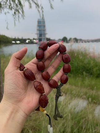 #文玩人 #文玩爱好者 #文玩油推荐 #盘玩 #橄榄核