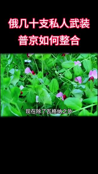 俄几十支私人武装,普京如何整合