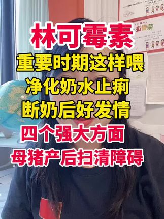 #母猪#自繁自养母猪 #养猪 #养猪人加油干