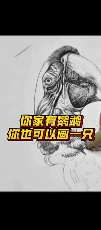 你家有鹦鹉,你也可以画一只!#画画#画鸟#手绘动物#绘画动物#绘画