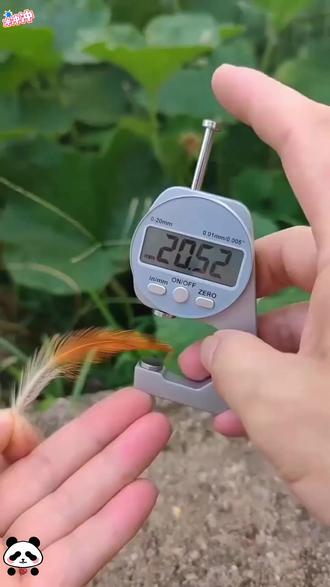 测厚仪高精度测厚规测量珍珠钢板钢管皮革厚度千分尺尖头迷你卡尺#测厚仪 #高精度测量 #迷你卡尺 #多材质测量 #实用工具