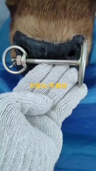 牛鼻栓/大小阻头,买5个发6个