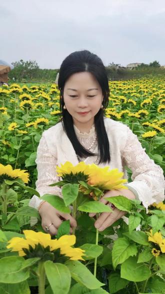 #向日葵花海 →那就是大坝镇马厝宅村#约起来
