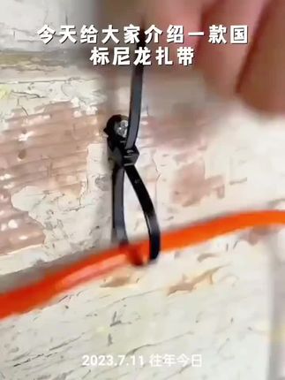 国标尼龙扎带4*200自锁式塑料卡扣园艺固定捆绑勒死狗束线带黑色 #每日分享 #抖音推广 #每天分享更新 #电工知识