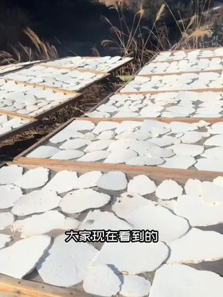 生切茯苓才管用啊,那种茯苓丁水太深还没什么药气#茯苓片 #生切茯苓 #茯苓 #药食同源