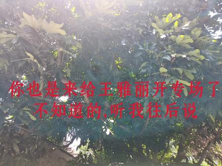 #王雅丽@王雅丽#王雅丽模仿白鹿#王雅丽模仿鞠婧祎#王雅丽模仿张佳慧