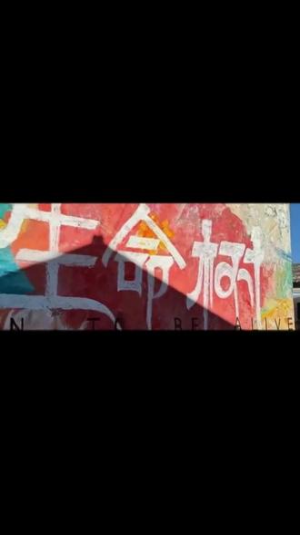 逃离城市,来青海找一棵树充电🌳
#青海旅行打卡 #生命树打卡 #治愈系风景 #生命树开播 #青甘大环线