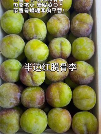 四川半边红脱骨李,脆甜多汁巨好吃!#脱骨李 #半边红脱骨李 #新鲜应季水果 #脆甜多汁 #好吃到停不下来