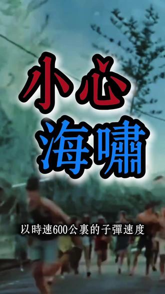 时速600公里!海啸来临时,你只有“黄金3分钟”能逃生!