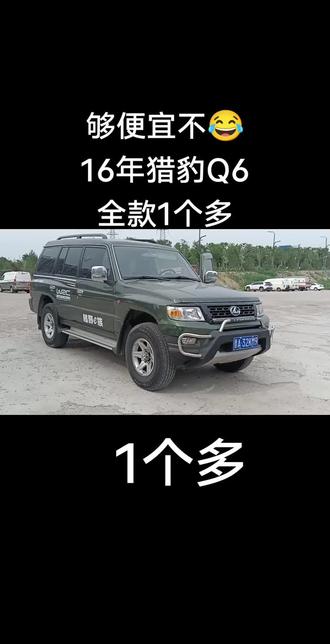 #挑战全网 16年猎豹Q6 4驱 全款1个多