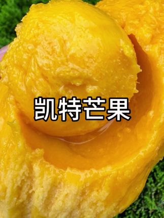 攀枝花凯特芒果大丰收啦,果大皮薄肉厚汁水丰富,超好吃😋!#现摘现发新鲜到家 #优质农产品 #攀枝花芒果#攀枝花 #芒果