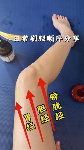 记录用经络刷刷腿🦵🏻,记住这六个方向哦!坚持哦姐妹👭#经络刷刷腿 #刷腿#腿部放松 #经络刷#腿部按摩