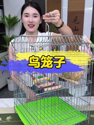 电镀鸟笼,精致养鸟之选!防锈电镀层持久亮泽,抽拉底盘清洁省心,空间宽敞活动自在,挂在阳台也是一道风景。#鸟笼 #养鸟神器 #宠物家居 #防锈设计 #阳台装饰