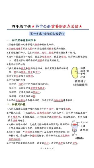小学科学知识点同步练习册三四五六年级教科版考点课堂笔记重难点#知识点练习 #学习资源 #同步练习册 #同步练习 #教科版