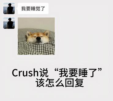 Crrush说我要睡了,该怎么回复?#聊天技巧教学 #聊天记录 #crush降临 #怎样和crush聊天