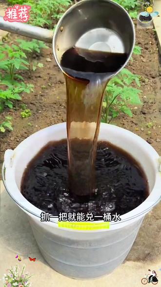 【蔬菜专用肥料】有机肥料家用种菜缓释颗粒营养水溶肥果蔬通用型肥#蔬菜专用肥#施肥#在家种菜#蔬菜种植#优质农产品