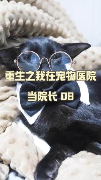 第8集| "相遇就是缘分 再次相见那是我的选择"
#宠物 #新手养宠 #狗 #养宠进阶指南 #宠物医院