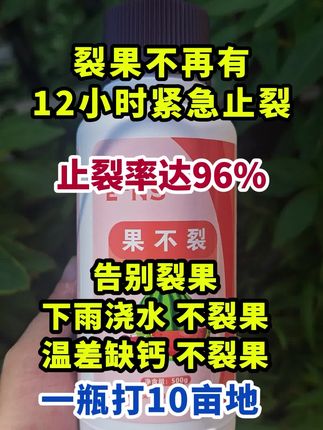 因艾氏果不裂,告别裂果烦恼,种出优质瓜果