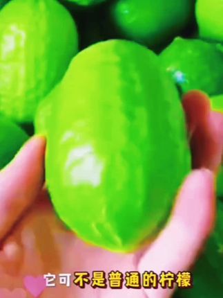 正宗广东香水柠檬一级果批发柠檬鲜果产地直发奶茶店专用#正宗广东香水柠檬#一级果柠檬#鲜果柠檬#奶茶店专用柠檬