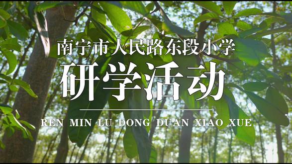 开启热带探索之旅#研学活动