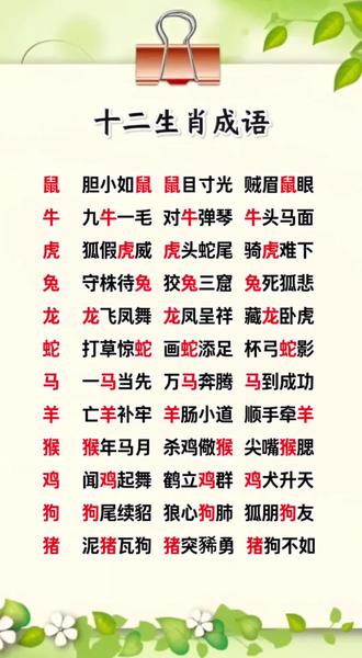 有关十二生肖的成语。二上语文园地八,关于动物的成语,十二生肖成语正好用上。#成语积累 #小学知识 #国学文化 #日积月累 #传统文化常识