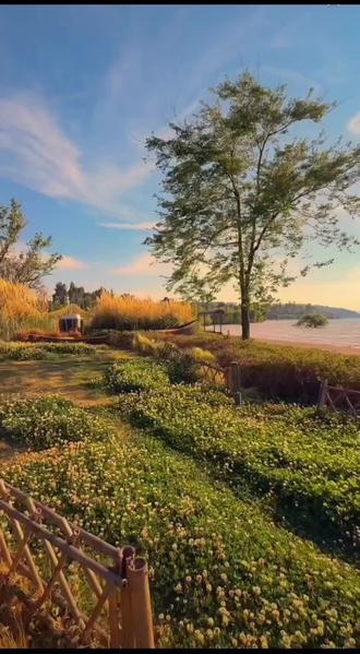 #海洋故事会 全民都来关注这个妖魔鬼怪横行的世界吧