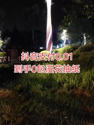 #抽纸#生活用纸#漫花抽纸#超划算超便宜0.01到手4包抽纸