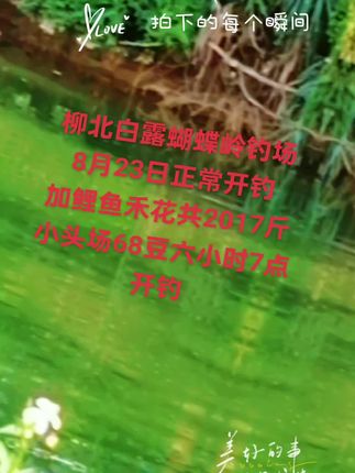 白露蝴蝶岭钓场
