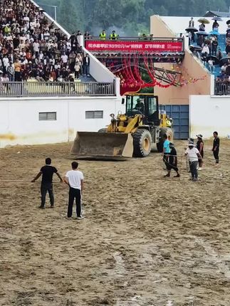 #广告分成计划 #斗牛爱好者