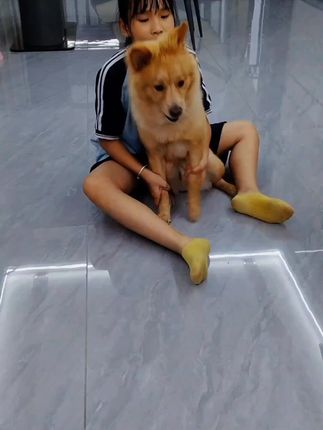 #萌宠动物 #家有萌宠🐶 #可爱的小狗 #狗狗的日常