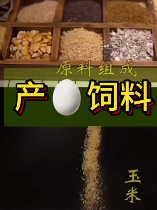 #蛋鸡饲料 #蛋鸡料 #鸡饲料 #产蛋鸡饲料 30年农家养殖经验配比而得,农家蛋鸡饲料,成分天然!