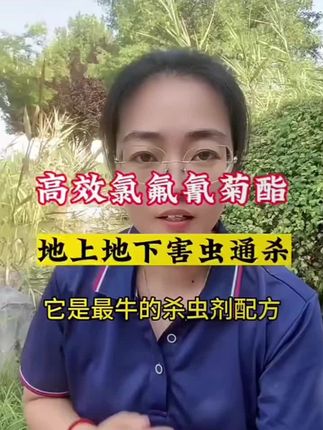 高效氯氟氰聚酯,地上地下害虫防治好帮手#上热门 #高效氯氟氰菊酯 #地上地下害虫通杀 #三农 #抖音助农 @DOU+上热门 @DOU+小助手 @DOU+推荐官