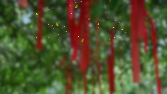 万法归宗 扶正生命本源贯通万法归宗#万法归宗#富而喜悦妈妈#合一星球