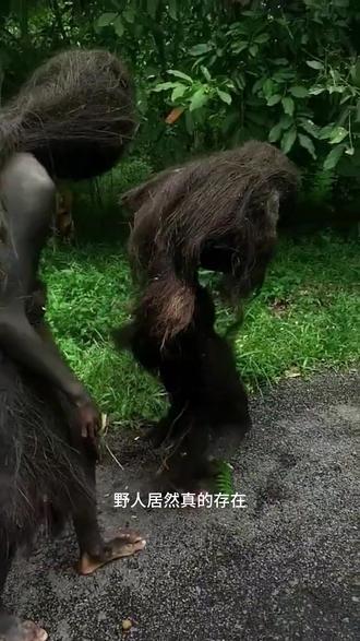 居然真的还有野人存在 #纪录片