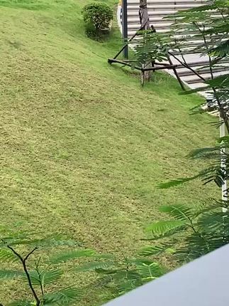 #风景如画 #风景优美空气清新