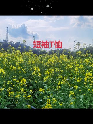 #短袖T恤 #短袖 #高级感穿搭 #超便宜超划算 #好物推荐🔥 @DOU+上热门 @DOU+小助手