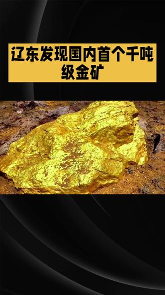 我国首个千吨级金矿床探明