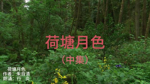 行炎朗诵朱自清的散文《荷塘月色》(中集) #热点 #热点小助手 #热点话题 #热点追踪 #热点宝