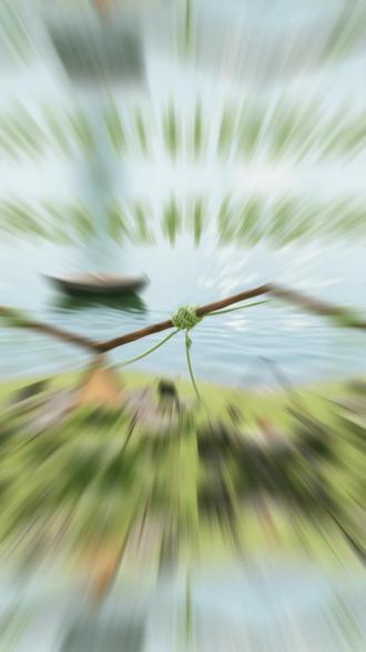 结绳技巧之杠杆结 #绳子系法 #露营 #户外