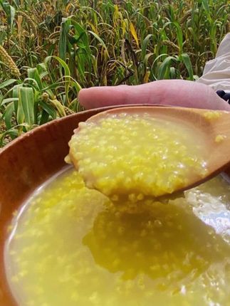 【粗茶淡饭】陕北米脂黄小米农家自产香糯饱满杂粮粥米脂特产 #黄米 #吃小米面的好处 #早餐#好物推荐#好物分享