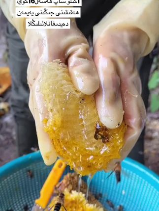 好物分享#好物推荐#感谢抖音官方#喜欢的人小黄车下单
