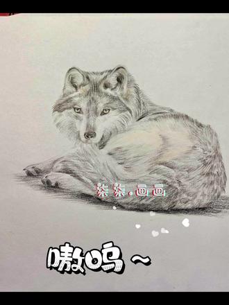 狼来啦,嗷呜~#绘画教程 #手绘过程 #画画 #动物 #狼